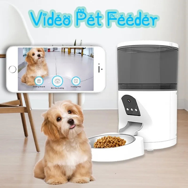 New design HD camera two voice interactive 4L 6L smart automatic pet feeder