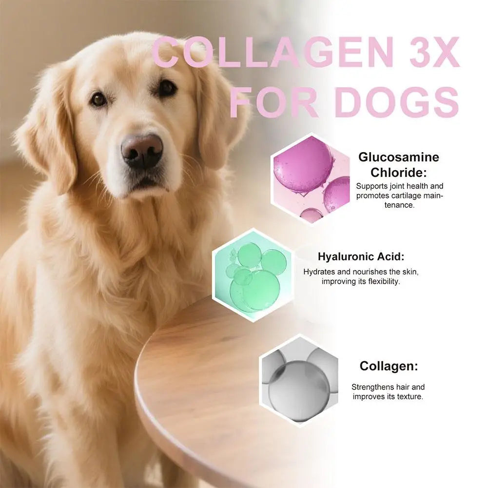 Dog Hair Conditioner Multi-functional Nutritional Supplement Liquid Collagen Dog Cat Pet Supplies