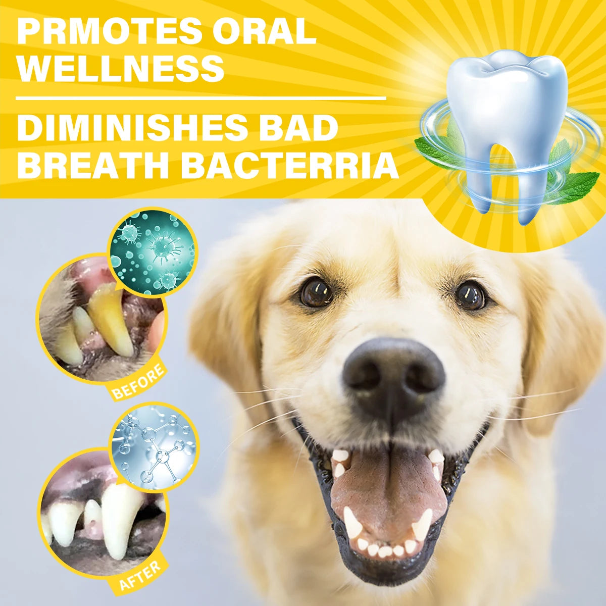 Pet Dental Care Kit - Milk Flavor Free Toothbrush Deep Cleaning Freshens Breath Reduces Plaque Tartar for Cats Dogs