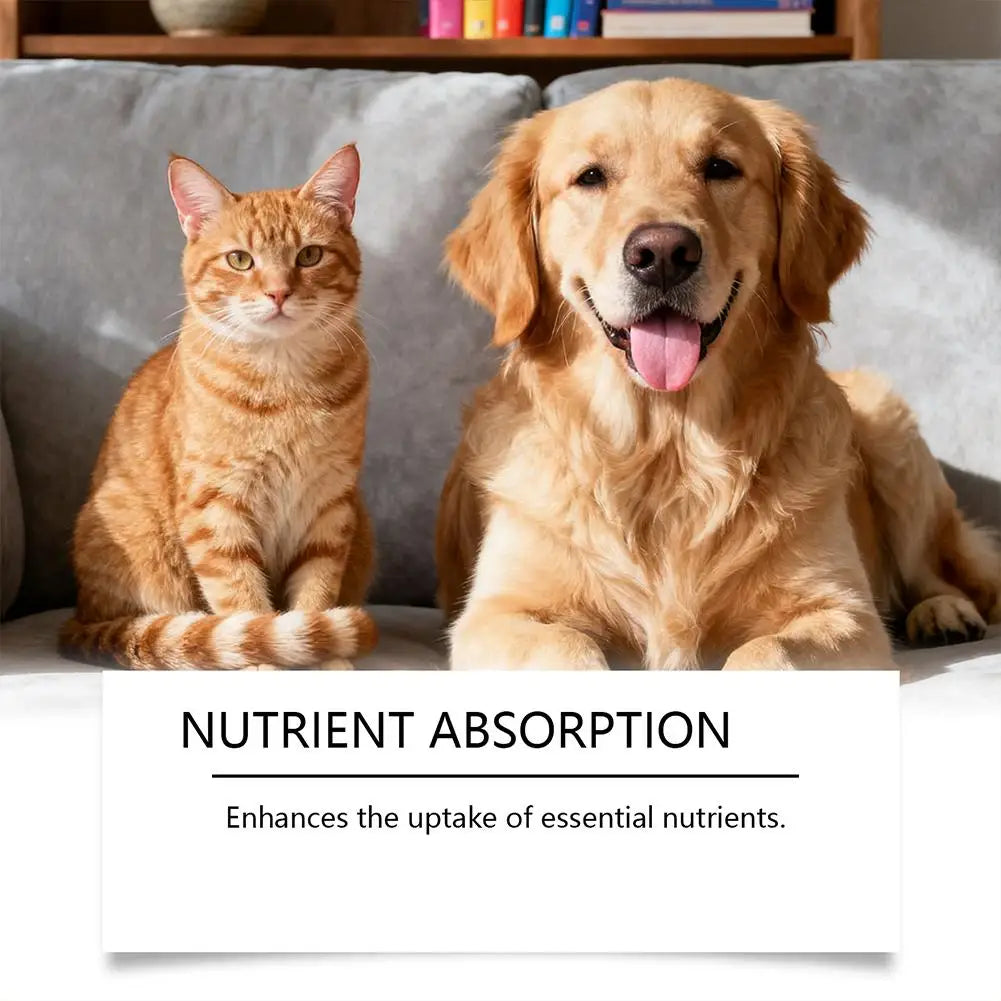 Pet Nutrition Supplement Probiotic Drops Containing Enzymes Used For Pet Digestion And Immune Support Daily Health Supplement