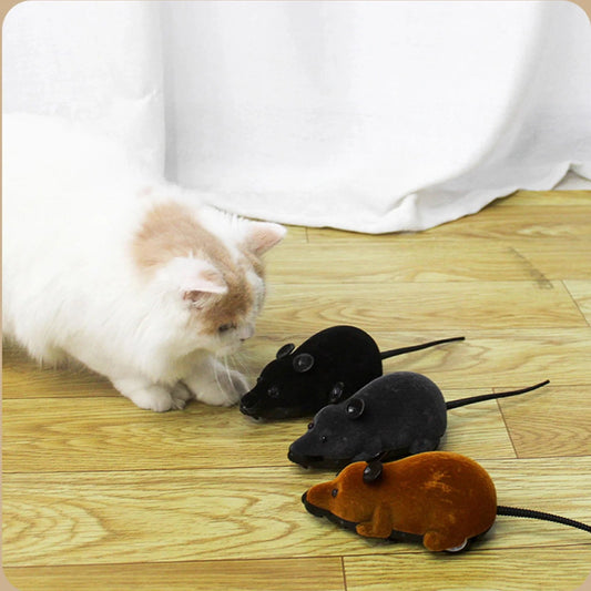 Best Electric Remote Mouse Cat Toy – Play & Exercise Guide