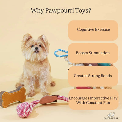 Flower Suede and Rope Chew Toy for Dogs, Blue Floral, 1-Piece