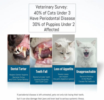 TONG Dog Cat Toothbrush Micro Head Cat Dental Care Pets Toothbrush Oral Hygiene Multi-Angle Round&Pointed Toothbrush