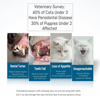 TONG Dog Cat Toothbrush Micro Head Cat Dental Care Pets Toothbrush Oral Hygiene Multi-Angle Round&Pointed Toothbrush