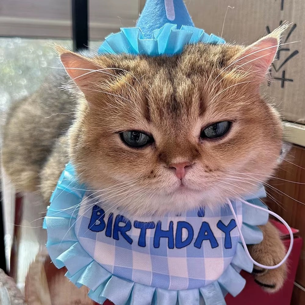 Pet Birthday Cute Props Headwear Caps Bibs Saliva Towel Hat Cat Dog Birthday Costume Pets Accessories Decoration Supplies
