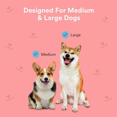 Dog Finger Toothbrush Cat Toothbrush Puppy Tooth Brushing Kit Dog Toothbrush Pet Supplies Dog Teeth Cleaning Wipes for Home