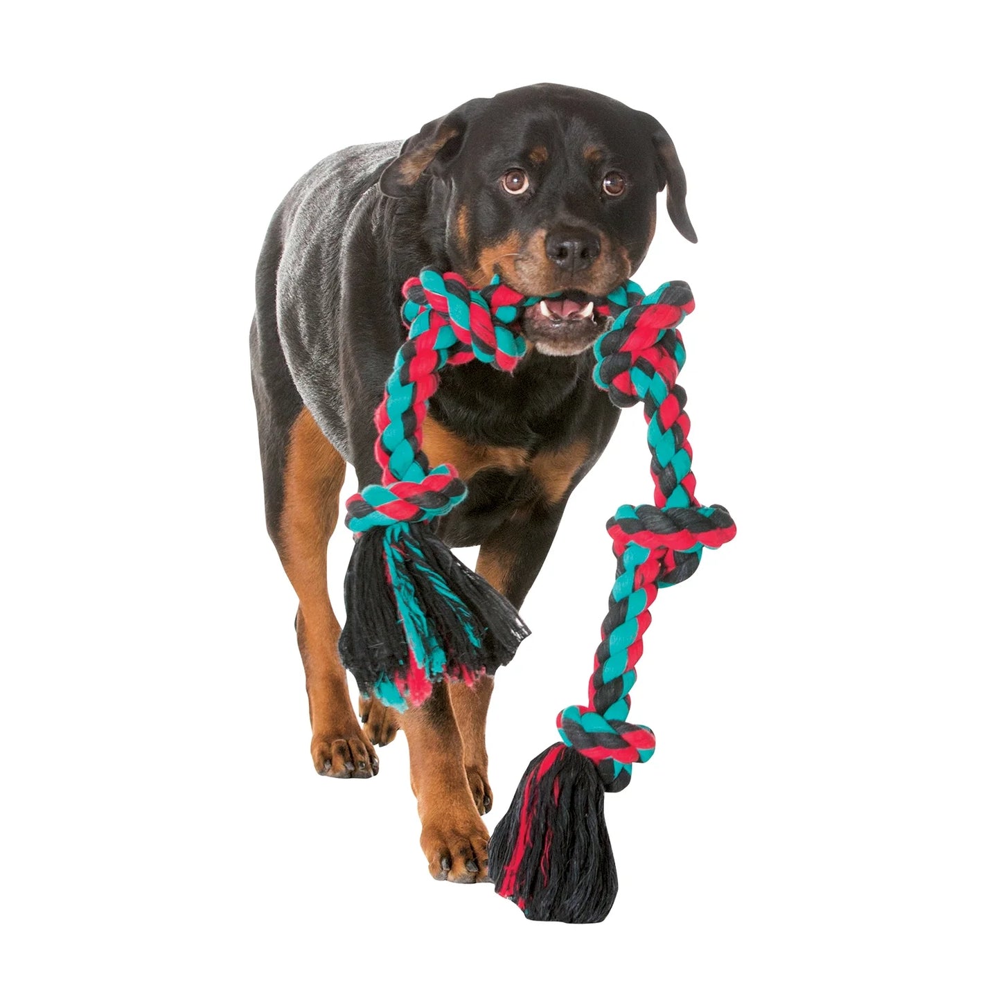 Flossy Chews Cottonblend 5 Knot Tug Rope Dog Toy Extra Large 36", Assorted Colors