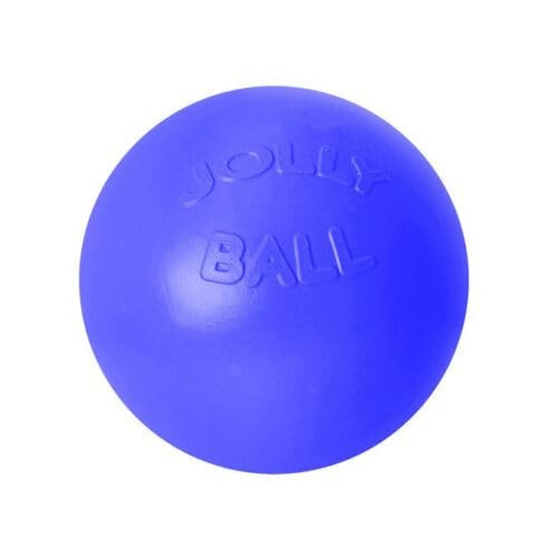 Jolly Pets Push-N-Play Ball Dog Toy, 10 Inches/Large, Blue