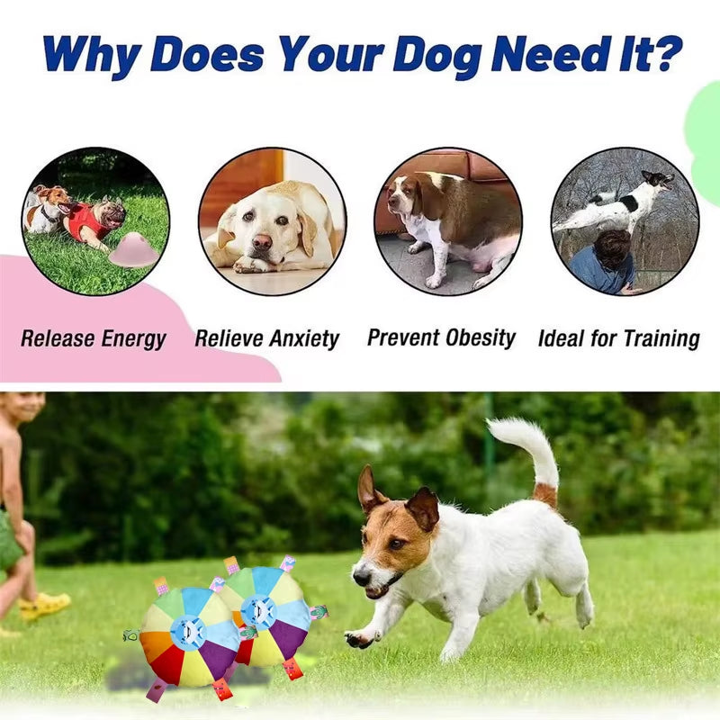 Interactive Ball Toys with Grab Tabs Dog Bite Chew Balls Pets Accessories Puppy Outdoor Training Soccer Pet Supplies 16Cm