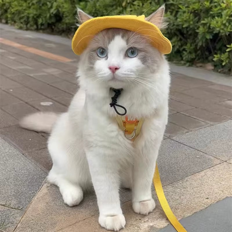 Cute Cat Dog Pets Hat with Ear Hole Dog Beach Visor Hat Sunhat for Cat Accessories Sun Cap Pet Outdoor Hat Supply for Dog Costum