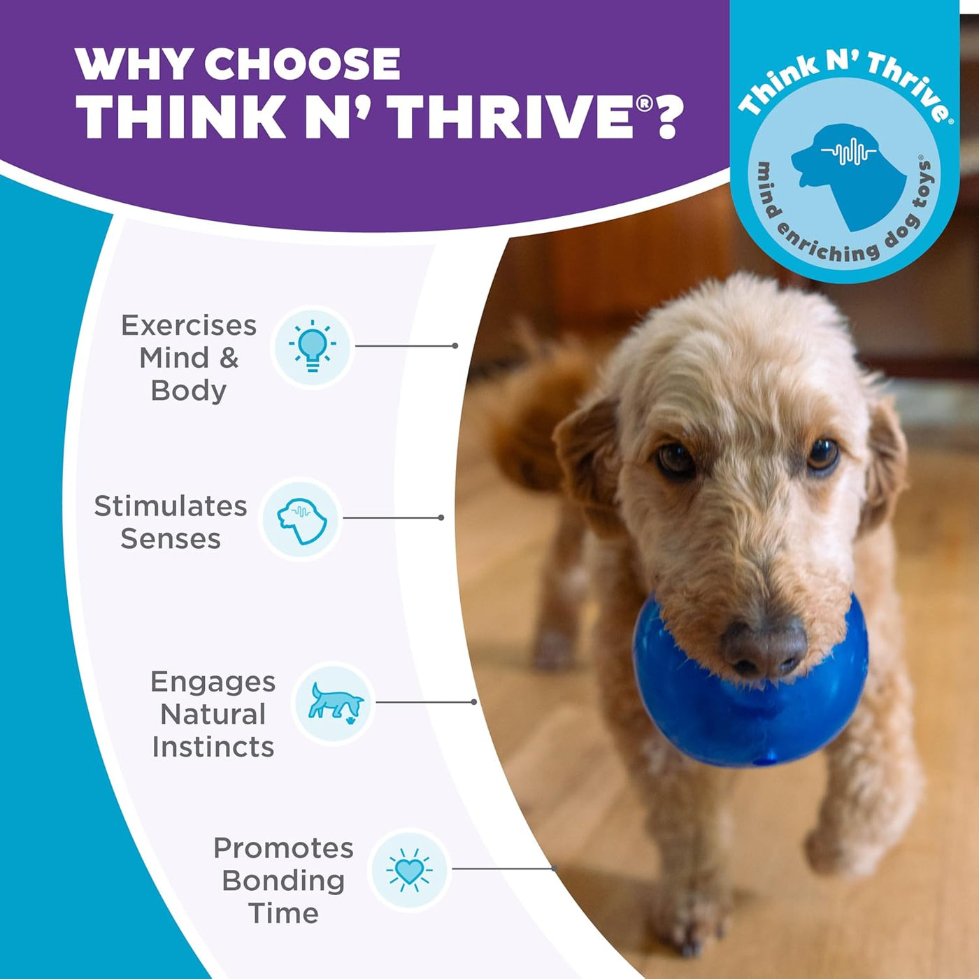 Lil' Snoop Interactive Treat Dispensing Dog Toy, Puzzle Ball Slow Feeder for Small to Medium Dogs, Mint-Scented for Mental Stimulation & Boredom Relief, Bpa-Free, 3.9-Inch, Blue