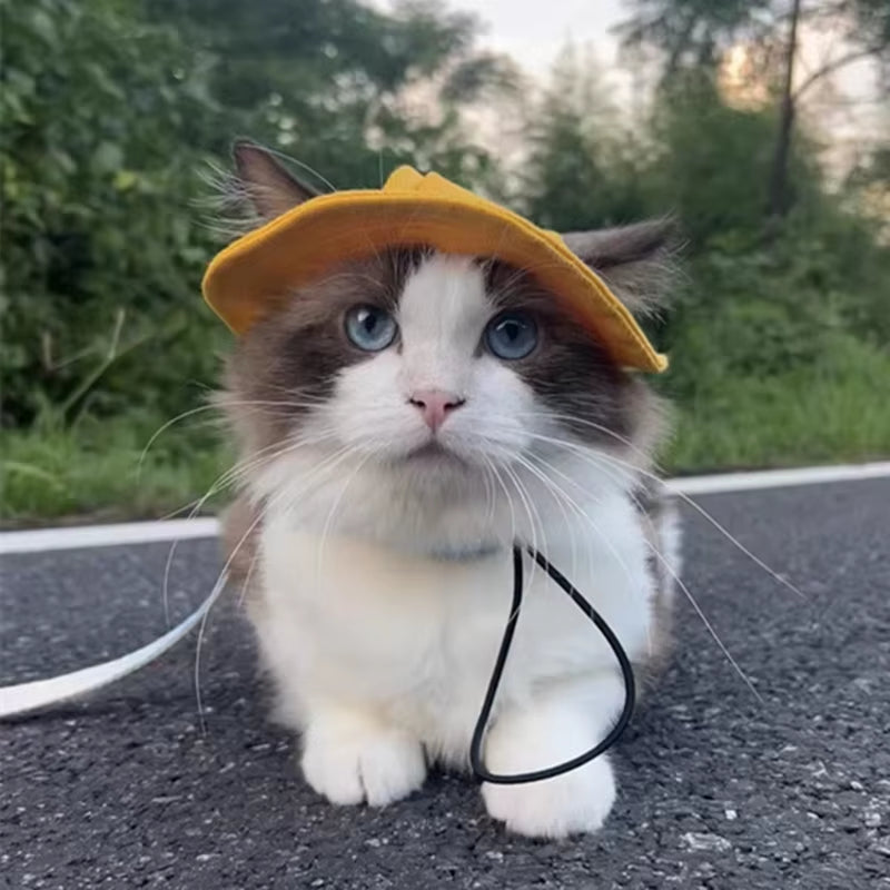 Cute Cat Dog Pets Hat with Ear Hole Dog Beach Visor Hat Sunhat for Cat Accessories Sun Cap Pet Outdoor Hat Supply for Dog Costum