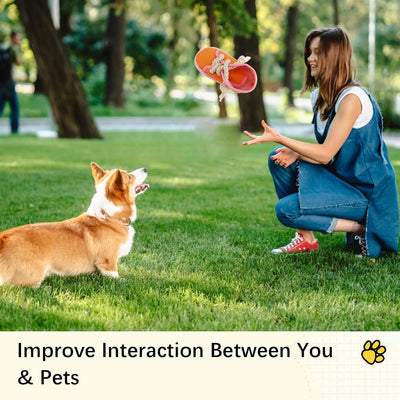 Dog Chew Toy, Dog Toys to Keep Them Busy Durable Teething Shoe Interactive Squeaky Puppy Toy,Small,Medium Breze, Machine Washable, Orange