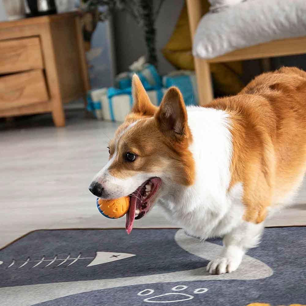 Dog Ball Toys for Dogs up to 35 Lbs 2.5 Inch Dog Ball Toy Floats on Water Bouncy Durable Rubber Ball