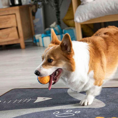 Dog Ball Toys for Dogs up to 35 Lbs 2.5 Inch Dog Ball Toy Floats on Water Bouncy Durable Rubber Ball