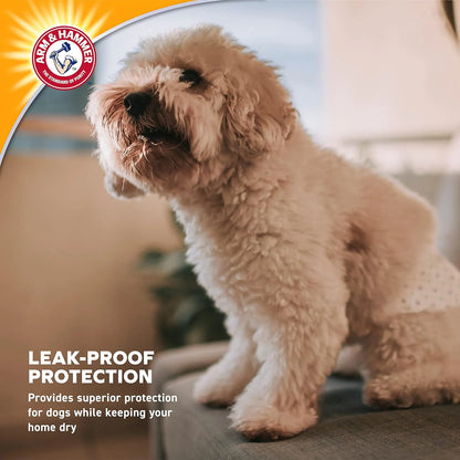 Female Dog Diapers, Medium 12 Count, Leak Proof, Ultra Absorbent with Wetness Indicator