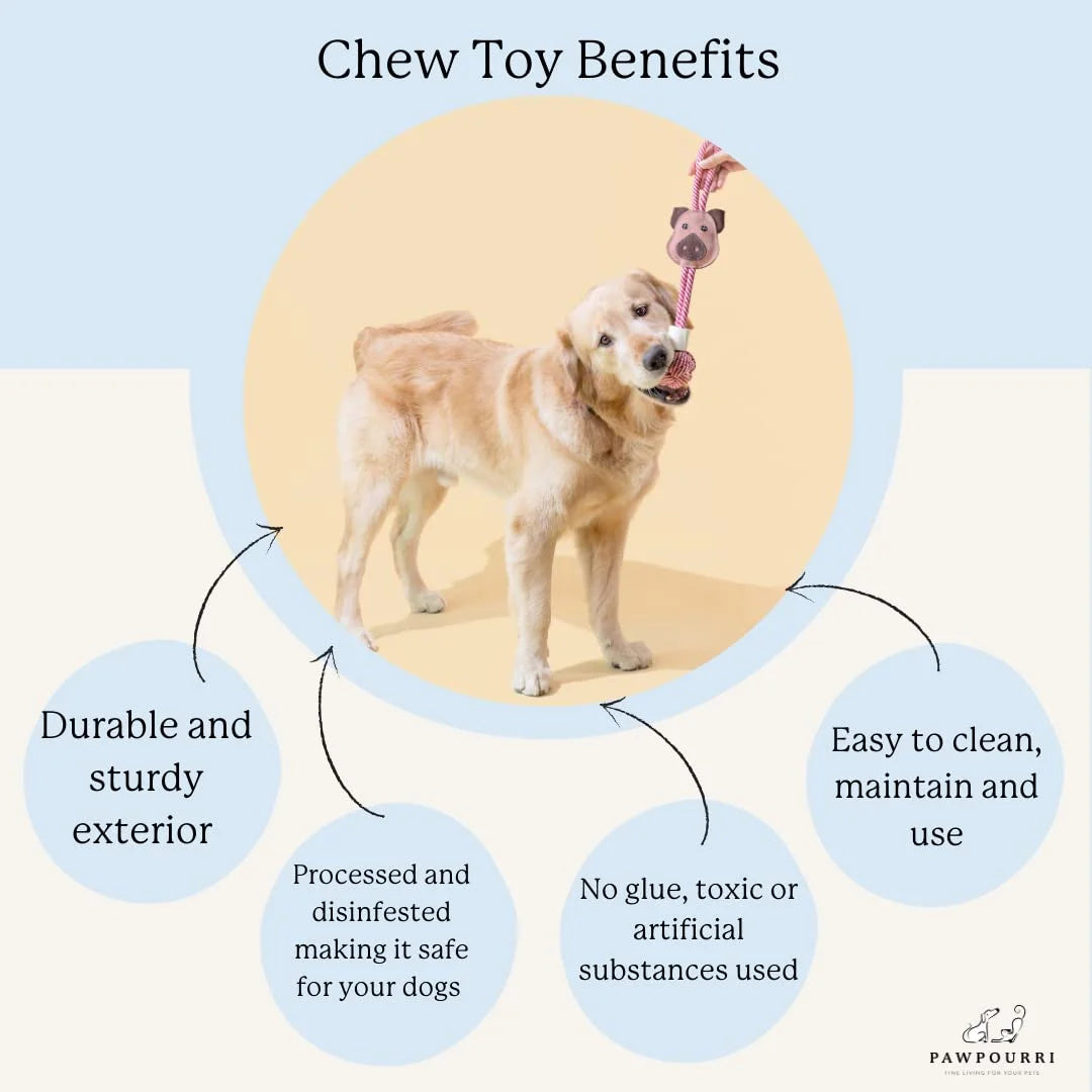 Flower Suede and Rope Chew Toy for Dogs, Blue Floral, 1-Piece