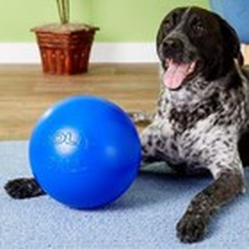 Jolly Pets Push-N-Play Ball Dog Toy, 10 Inches/Large, Blue