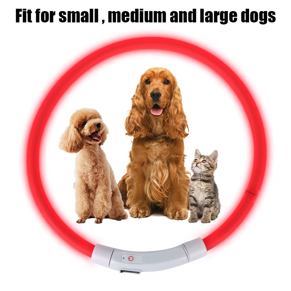 Led Usb Dog Collar Night Luminous Charge Necklace Dog Loss Prevention Night Safety Flashing Glow Collar Pet Accessories