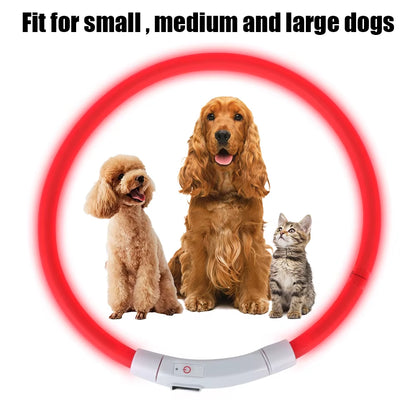 Led Usb Dog Collar Night Luminous Charge Necklace Dog Loss Prevention Night Safety Flashing Glow Collar Pet Accessories