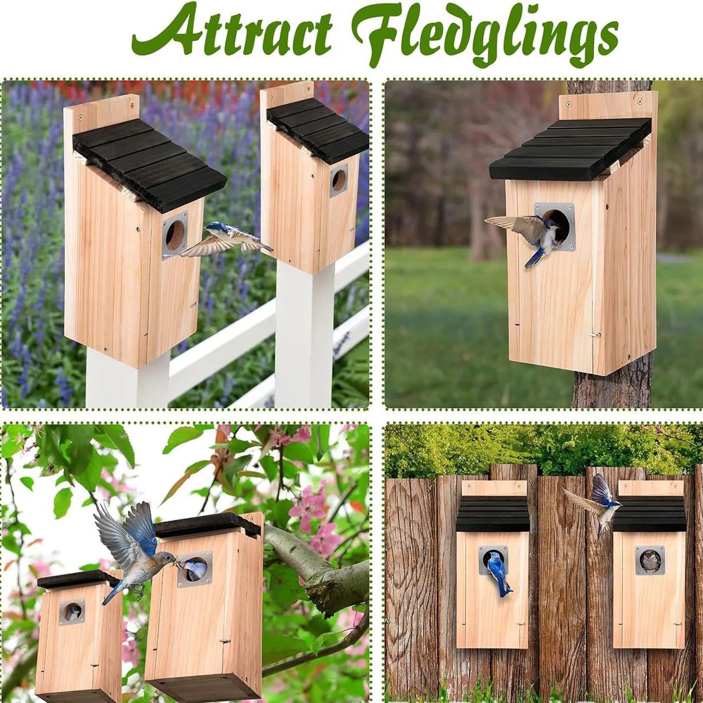 Bird House Wood Hanging Nesting Box Sheltered Warm Place Outside Bluebird Viewing House Feeder for Pet Supplies Patio Small Bird