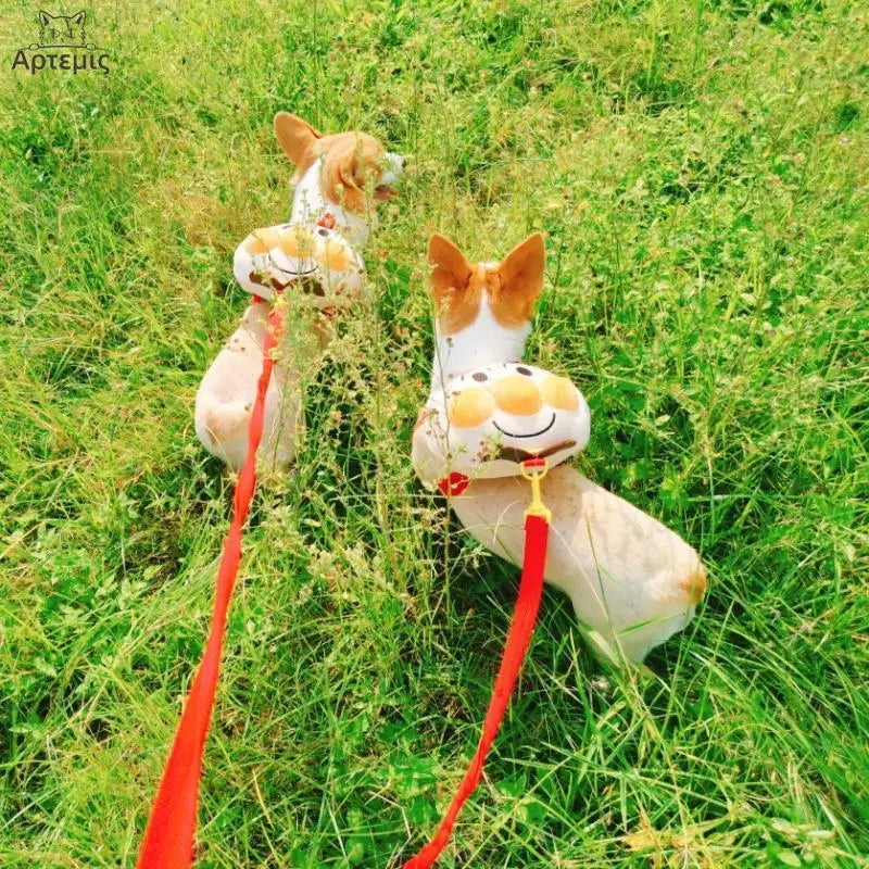 Dogs From Backpacks Small Dogs Cute Bread Pets Backpacks Fighting Teddy Corgi Going Out Schoolbags Traction Rope Dog Accessories
