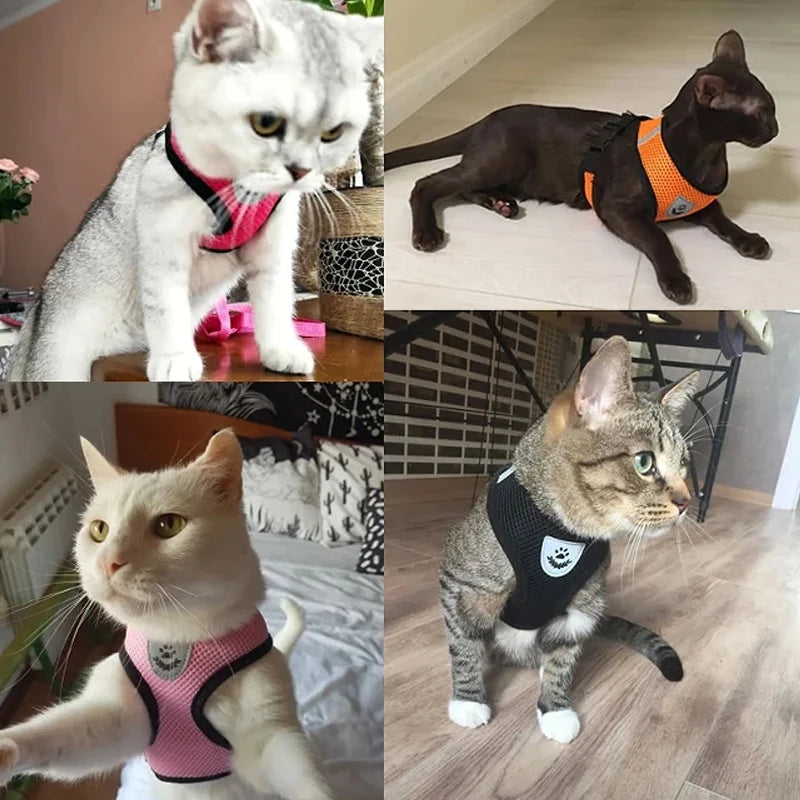 Dog Harness Walking Lead Leash For Small Dogs Collar Polyester Adjustable Mesh Puppy Cat Harness Vest For Medium Pet Accessories