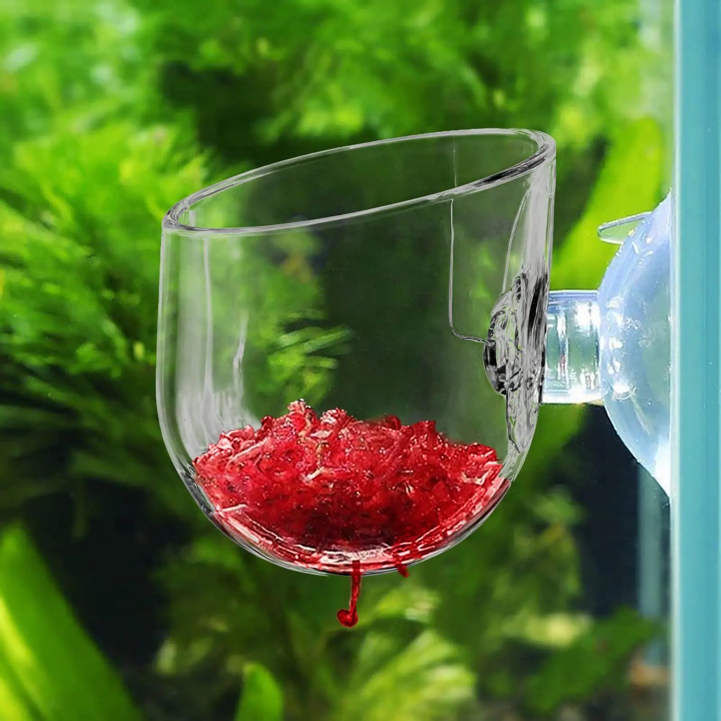 aquarium plant Cup  Hanging fish tank Water potted planting cylinder cup aquarium  plant holder  Aquarium decoration