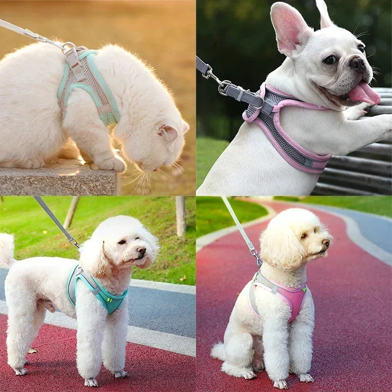 Cat Harness Adjustable Pet Harnesses Reflective Leashes Set Pet Harness for Cats Small Dogs Pug Chihuahua Cat Accessories