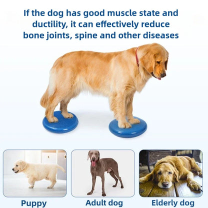 Dog Massage Pad Balance Tray Rehabilitation Training Dogs Leg Coordination Pads Strong Bearing Capacity Pet Products Supplies