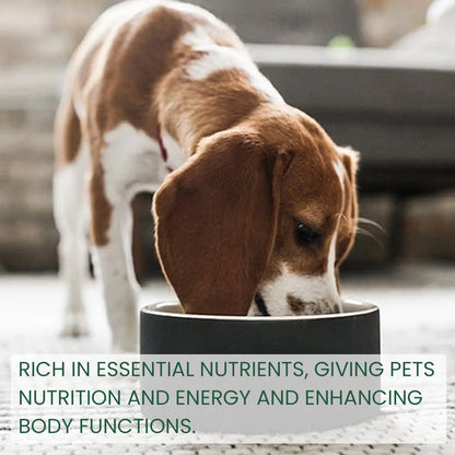 Dog Probiotics Drop Digestive Health Support Improve Gastrointestinal Vomiting Stomach Protect Pet Health Nutrition Supplement