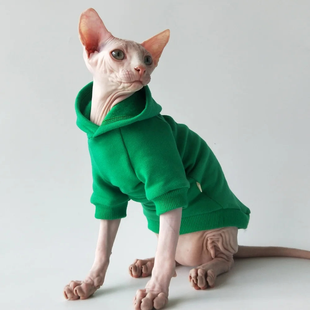 Halloween Cat Costume Hairless cat Witch Hat Hoodie Autumn Winter Coat Warm Fleece Sweatshirt for Kittens Green Red Blue Jacket
