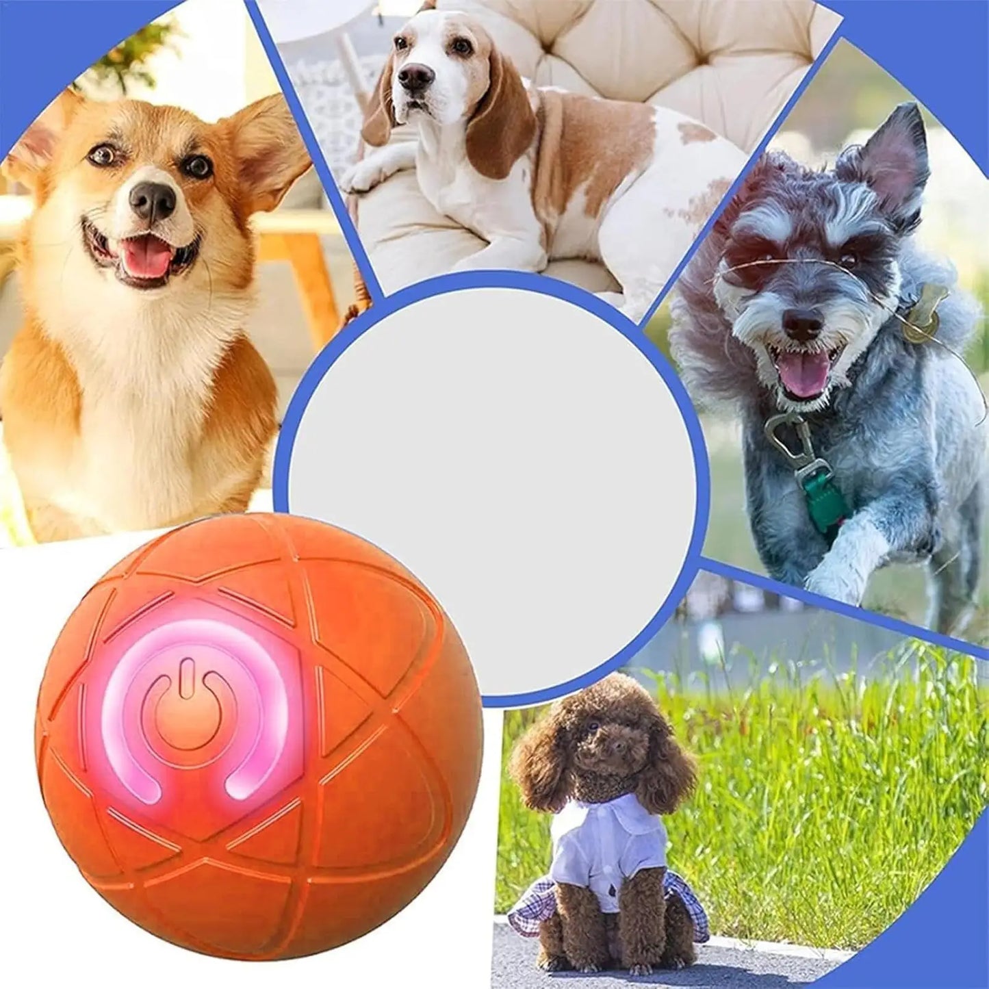 Electric Rolling Ball Dog Toy USB Interactive Dog Ball Toy Smart Interactive Pet Toy Ball with LED Light USB Charging Rolling