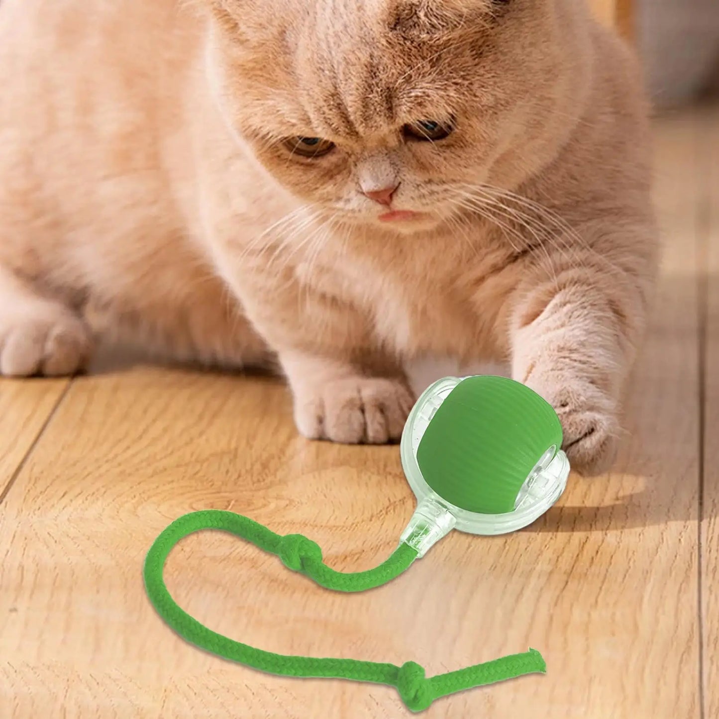 Dog and cat toys, ball, durable, self-entertainment, with rope, cat teaser ball, pet supplies, jumping ball, thud pet toys