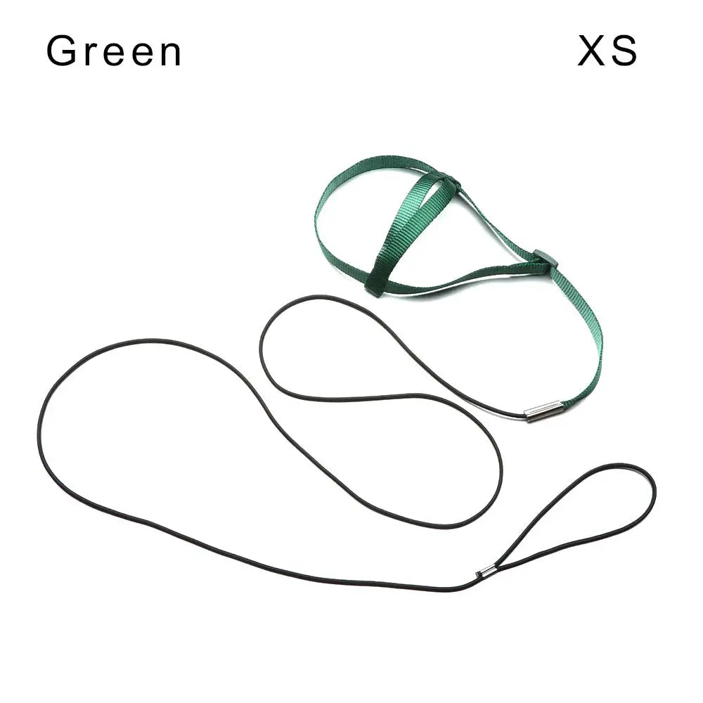 Training Flying Traction Rope Anti-Bite Training Rope Bird Leash Parrot Flying Rope Parrot Harness Bird Harness Leash