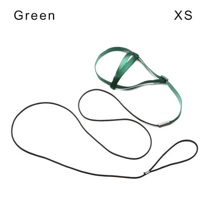 Training Flying Traction Rope Anti-Bite Training Rope Bird Leash Parrot Flying Rope Parrot Harness Bird Harness Leash