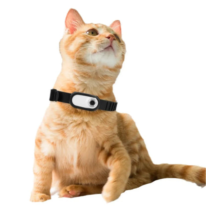 Pet recorder thumb pet camera high definition cat and dog viewing angle camera collar pet camera dog accessories