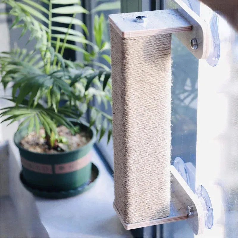 Carrier Cat Tree Tower House Scratcher with Hammoc Cat Scratcher Furniture for Home Play Structure Accessories Pet Products