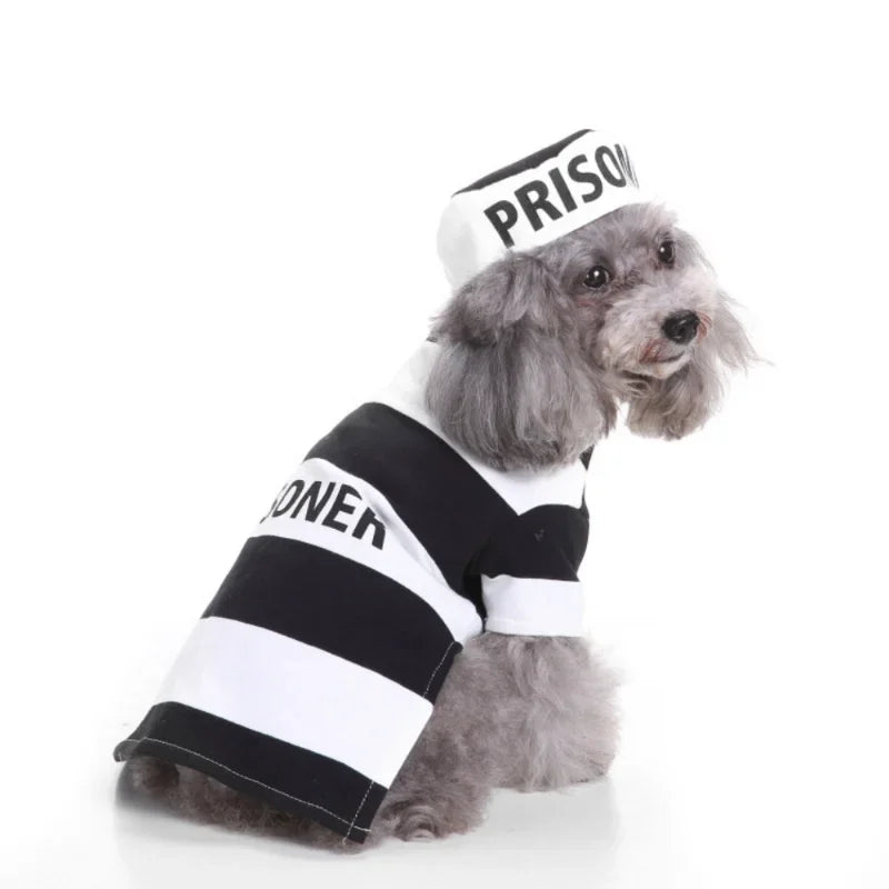 Funny Halloween Dog Costume Clothes for Small Dog Clothing Pet Dress Up Outfit Cosplay Dog Costume Party Carnival Disfraz Perro