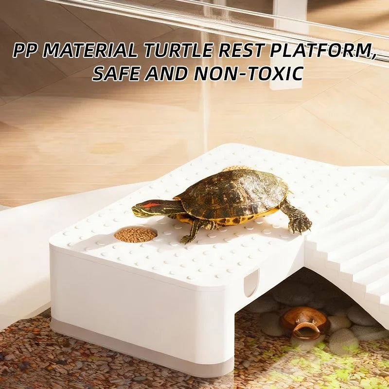 Transparent Reptile Terrarium Tank with Basking Area for Pet Turtles Hermit Crabs Tortoise - Turtle Adoption Habitat