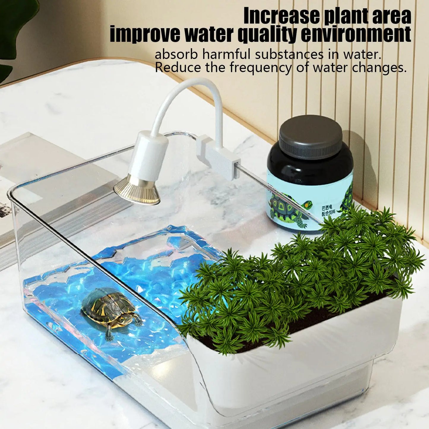 Turtle Tank with Basking Area, Transparent Reptile Terrarium Habitat for Pet Turtles, Hermit Crabs, Tortoise Adoption