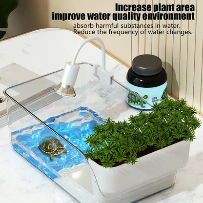 Turtle Tank with Basking Area, Transparent Reptile Terrarium Habitat for Pet Turtles, Hermit Crabs, Tortoise Adoption