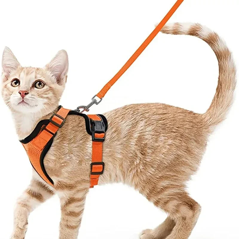 Cat dog collar vest harnesses leash Outdoor walk pet Anti-escape reflective kitten collar small dog chest breathable leashes