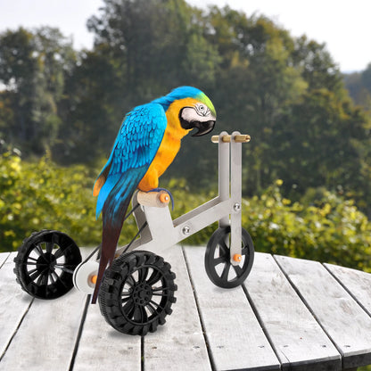 Parrot Training Toy Funny Bird Cockatiel Conure Parakeet Foot Exercising Educational Toy Interactive Props Bird Supplies
