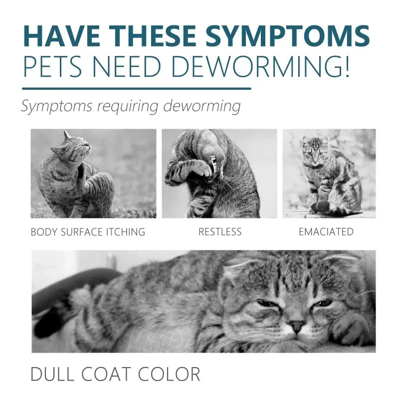50ml Pet Anti Flea Tick Agent for Cats, Dogs, and Dogs. Extracorporeal Deworming Skin Cleaning Agent for Lice, Ticks, and Ticks