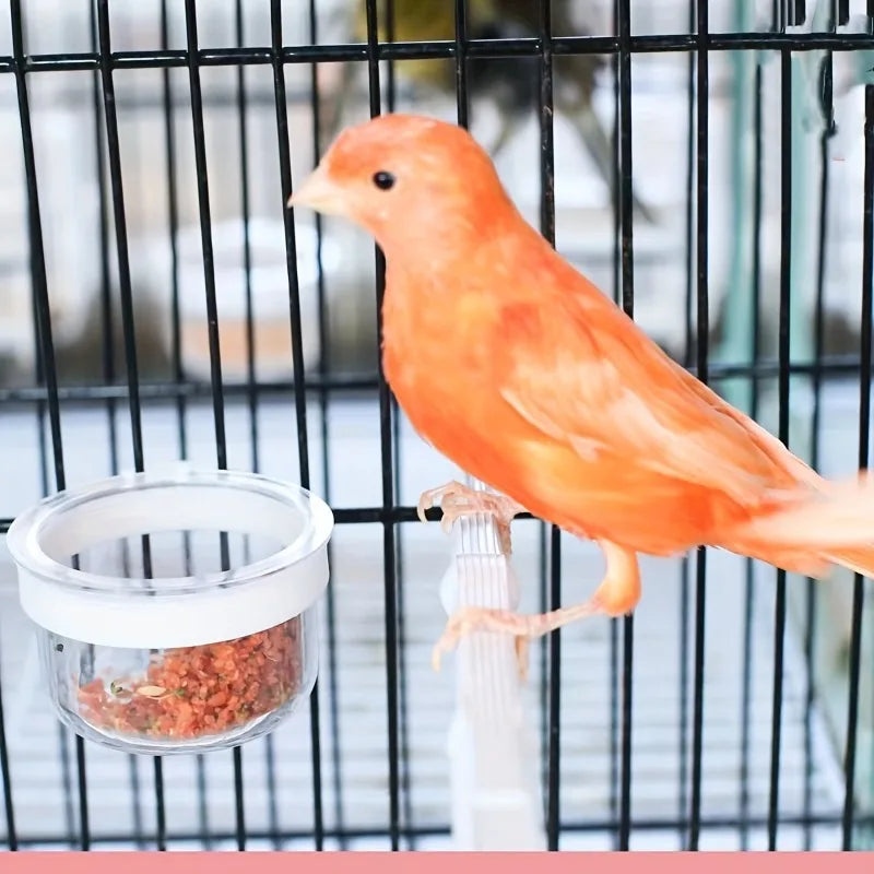 Bird Feeders Cup, Parrot Feed Box with Holder, Bird Cage Feeding Supplies
