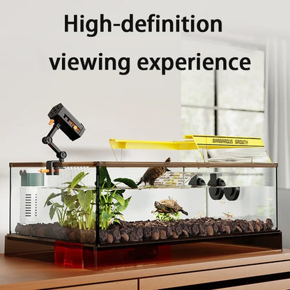 Aquarium Terrariums Large Ecological Tank Desktop Decoration Turtle Fish Tank Household Transparent Glass Reptile Breeding Case
