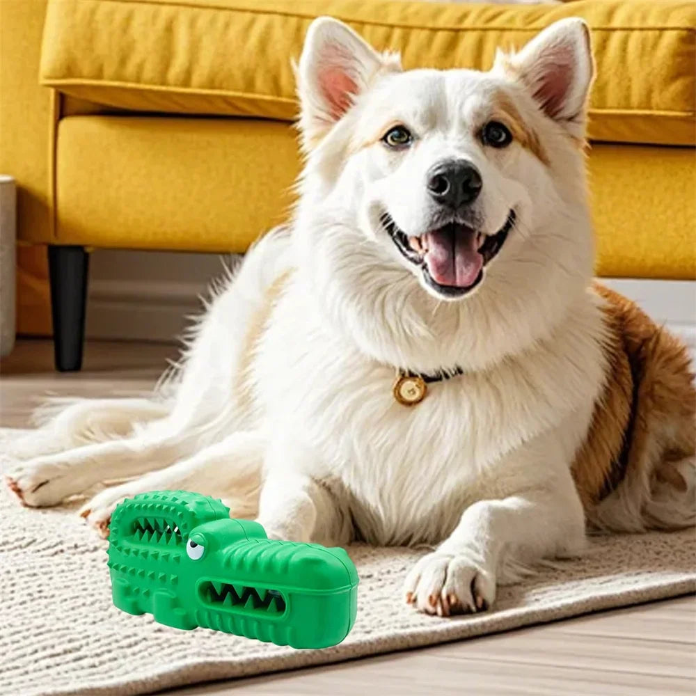 Dog Chew Toys for Aggressive Chewers Squeaky Tough Durable Toothbrush Interactive Toys Mental Stimulation Chew Toys Collection