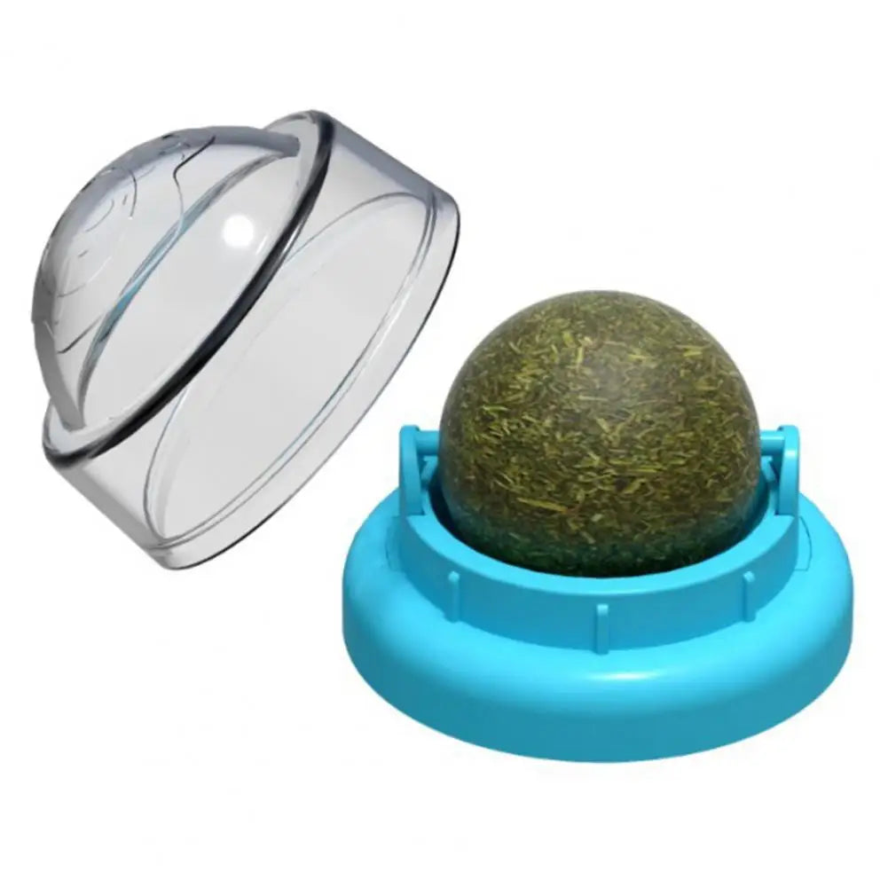 Catnip Ball Cat Toy Dental Health Care Bite Resistant Relieve Boredom Teeth Grinding Interactive Ball Cats Mint Toy Cat Supplies
