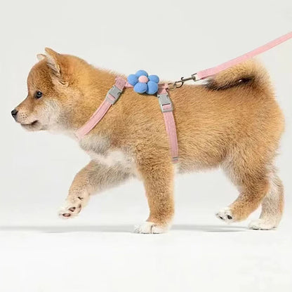 Cat Harness and Leash Sets Adjustable Dog Harness for Small Dog Leash Breashable Pet Harness Out Walking Dog Strap